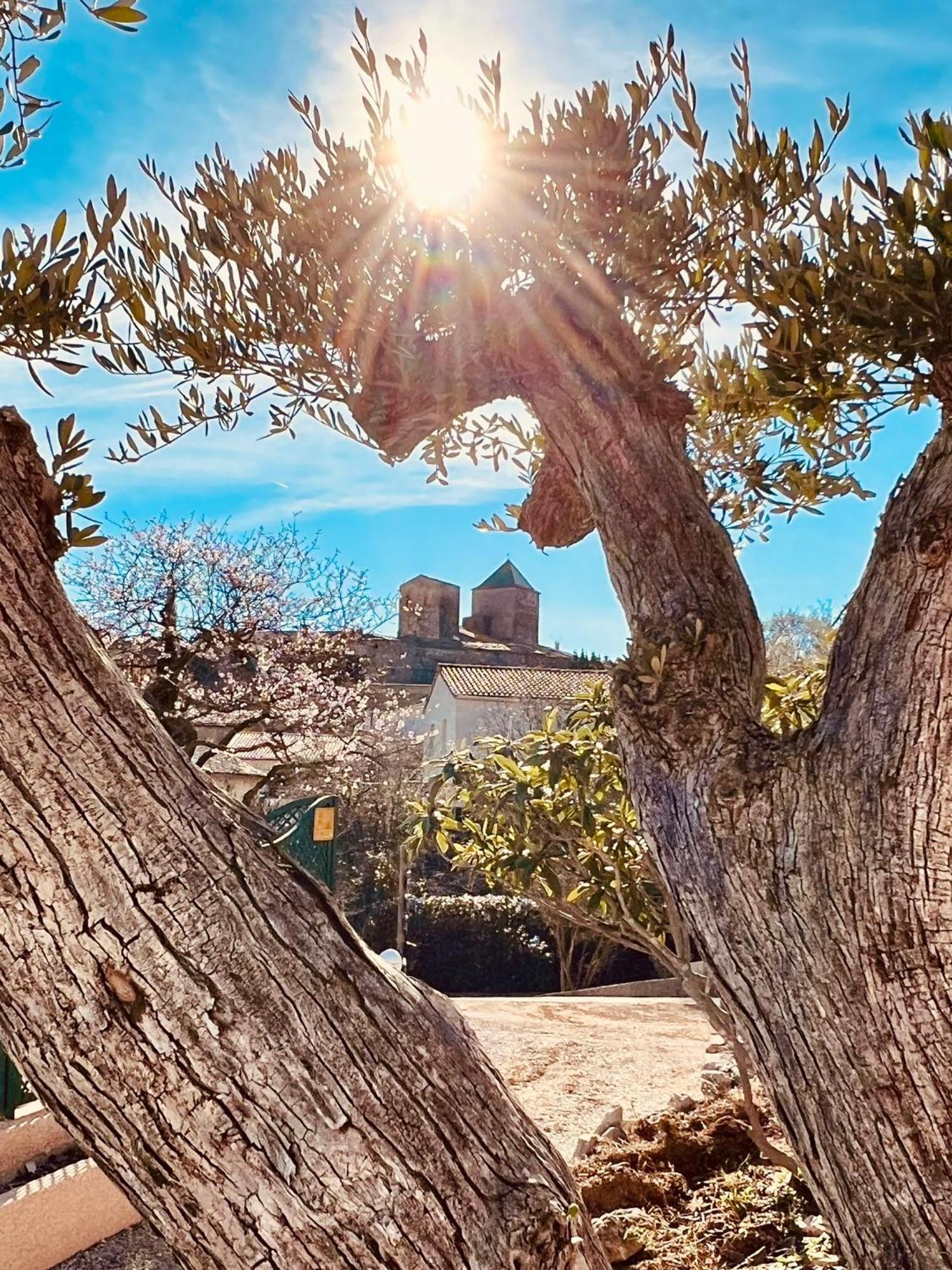 Melisande Au Pays Des Orjouliers Saint-Jean-de-Fos 외부 사진