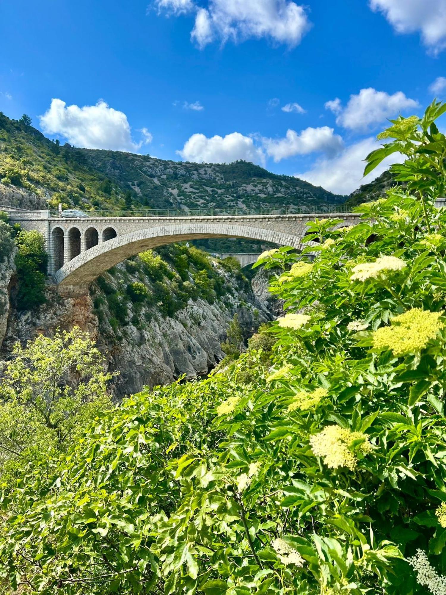 Melisande Au Pays Des Orjouliers Saint-Jean-de-Fos 외부 사진